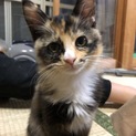 里親見つかりました！
