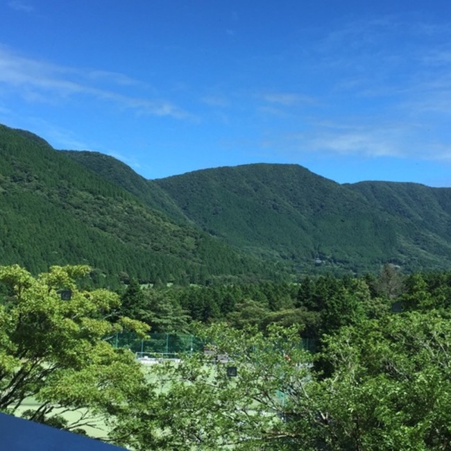 びんのすけのカバー写真