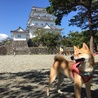 の写真