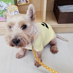 気が付けば術後５ヶ月ワン(^_-)-☆