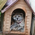 もらって下さい