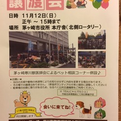 茅ケ崎市犬と猫の譲渡会＆わんにゃんマルシェ