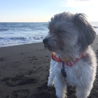 ベル