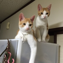 「久しぶり❤️」サムネイル2