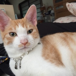 「久しぶり❤️」サムネイル3