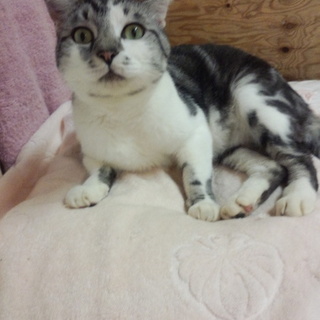 １歳くらいのヤマナカ君