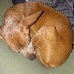 今度は嘔吐！？と思いきや。。。