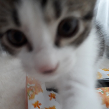 の写真