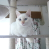 新しい家族の風汰です。よろしくお願いいたします。