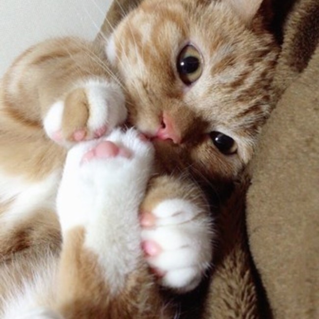 yuhnaのカバー写真