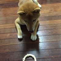 福助