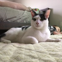 ゆきち