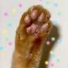 オレンジあめちゃん