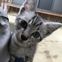 人見知りナシの元気な男の子