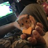 おやつたいむー♡