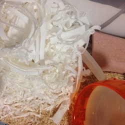 「⚪️⚪️⚪️ワイパー」サムネイル2