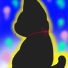 里親探しの黒猫娘(保護活動者)