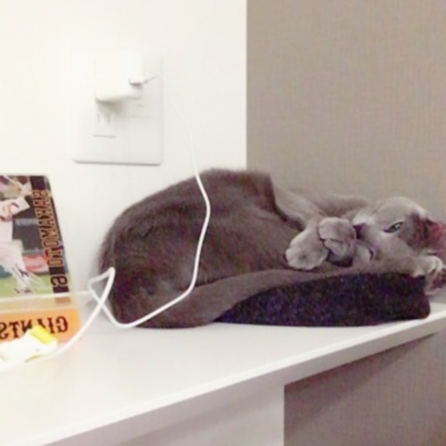 non88rのカバー写真