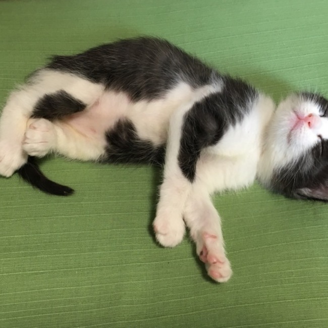 むぎとろのカバー写真