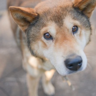 穏やかな優しいおじいちゃん
