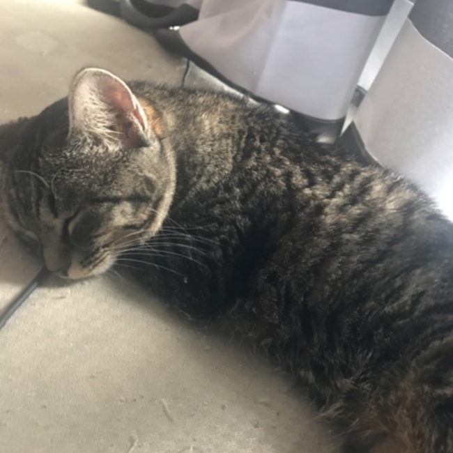 yuuki644のカバー写真