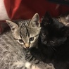 ウチに来た時の写真です。