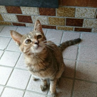 ワンちゃんにも怖がらない姉妹です。