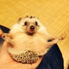の写真