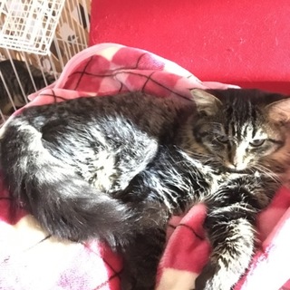 面会あり、一旦停止します