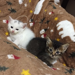 沢山のご応募誠にありがとうございました！！^^*