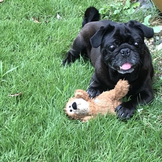 【お見合いします。一時募集中止】