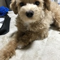 体調不良のため、募集中止します。