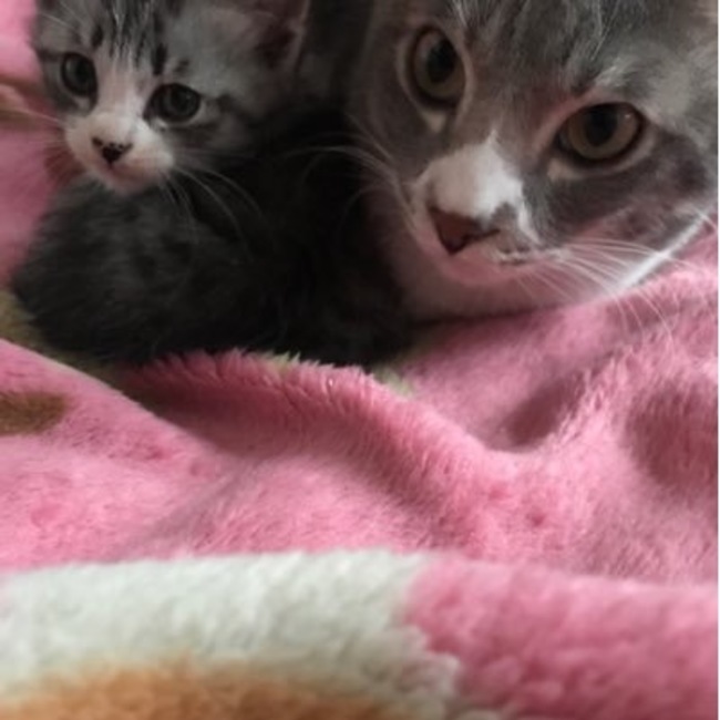 かず8940のカバー写真