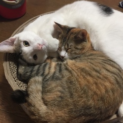 6ヵ月を過ぎて