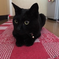 かなた