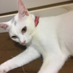 ハム尾　お帰り(^・^)