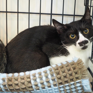 和菓子withB【まめふく】