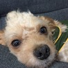 うみたろう