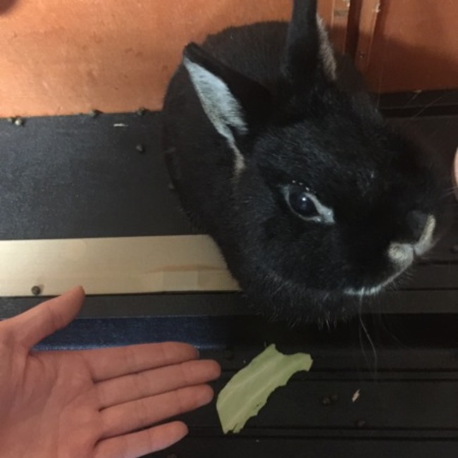 md.りゅうのカバー写真