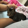 会って二日目の、娘の足に乗って寝ようとしてる^ ^