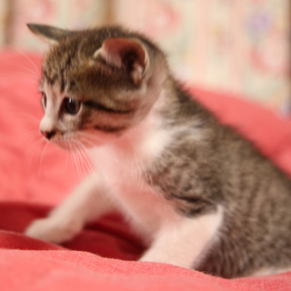 男の子だけど丸顔で可愛いよ