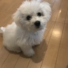 KSKAMA さん