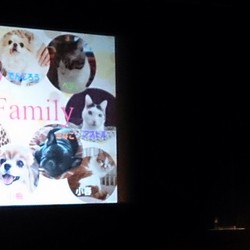 動物愛護フォーラムいのち