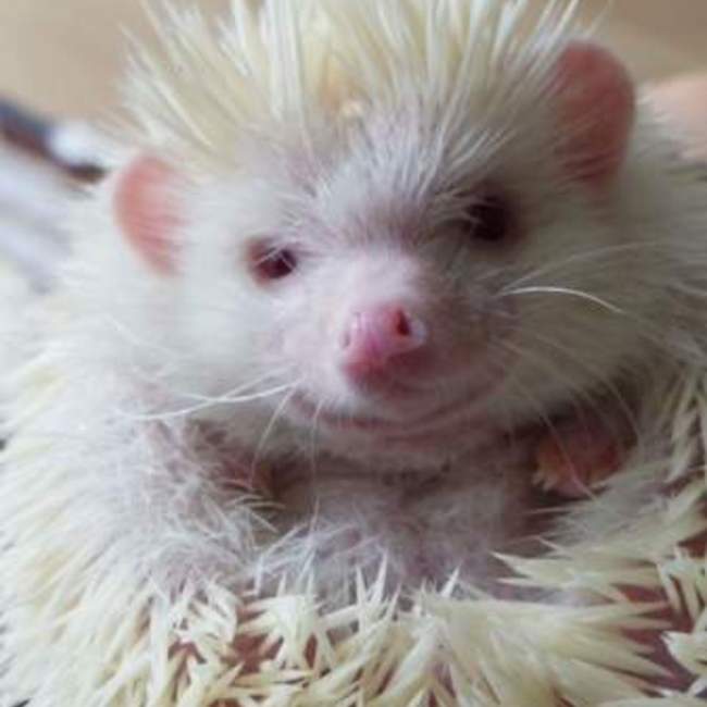 ゆうきうき052のカバー写真