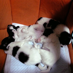 昔はとっても可愛かったのに