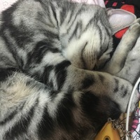 みお