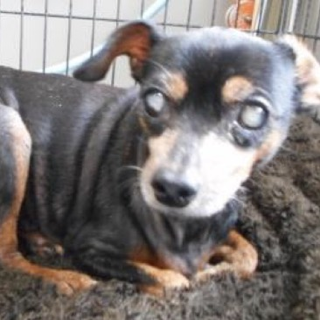 愛護団体様が引き出して下さいました。