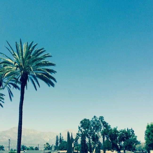 Kametan momのカバー写真