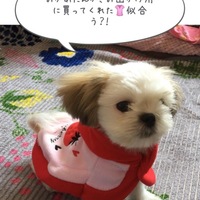 ブレラ