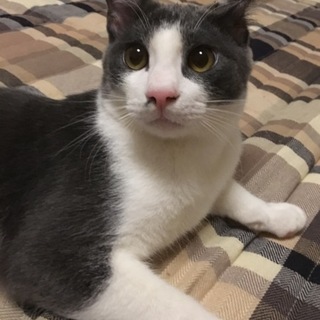 里親決定♡鼻毛模様が可愛い6ヶ月